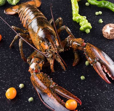 什么?波士頓龍蝦,不是來自波士頓?!