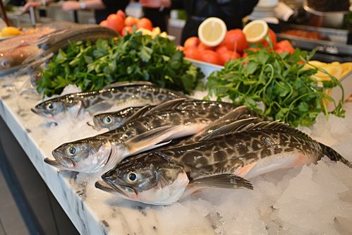 生鮮海鮮水產深海鱈魚 攝影圖