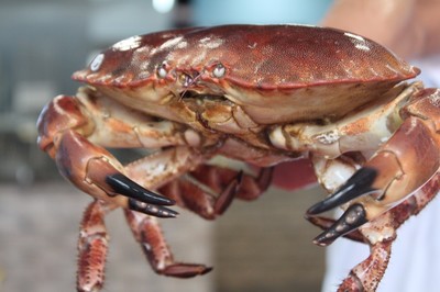 低至6.8折！徹底被啟東這家蒸汽海鮮店'蒸'服！