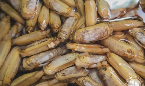 吳井路理想海鮮市場(chǎng) 昆明菜場(chǎng)界的“最大BOSS”海鮮